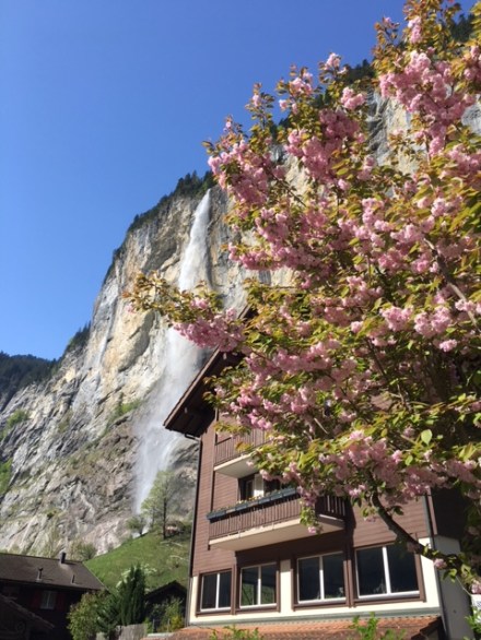 Switz Laterbrunnen beauty